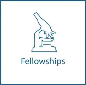 Navy microscope icon that reads 'Fellowships'.
