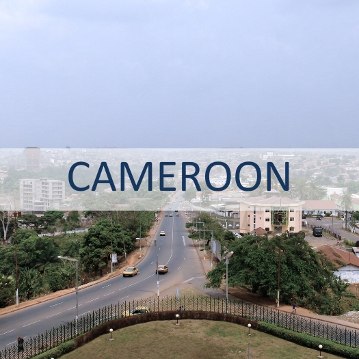 Cameroon with city photo.